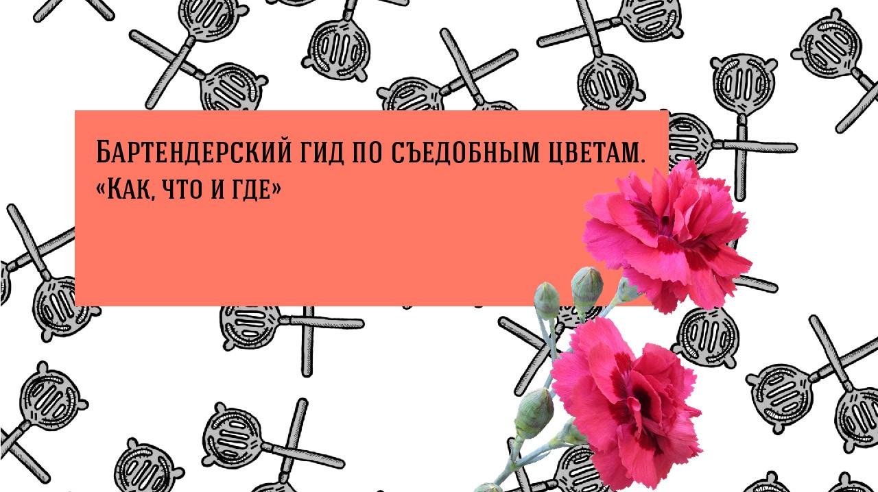 Бартендерский гид по съедобным цветам.
